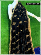 Premium Sequence Valvet Shawl